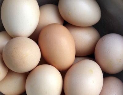 Jaja należą do produktów o bardzo wysokiej wartości odżywczej.